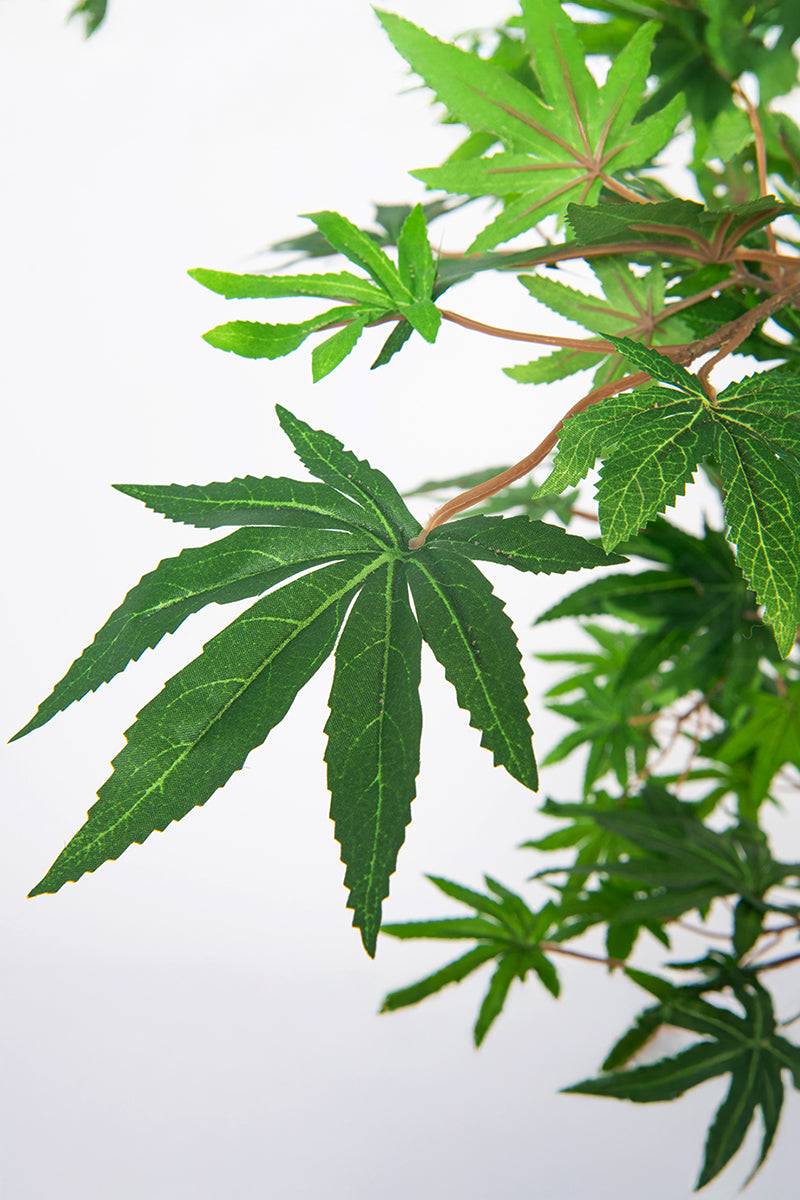 Maple B: Artificial Japanese Green Maple Tree with Multi Trunks