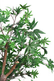 Maple B: Artificial Japanese Green Maple Tree with Multi Trunks
