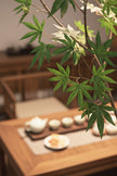 Maple D: Tall Artificial Japanese Maple Tree (Acer Palmatum)