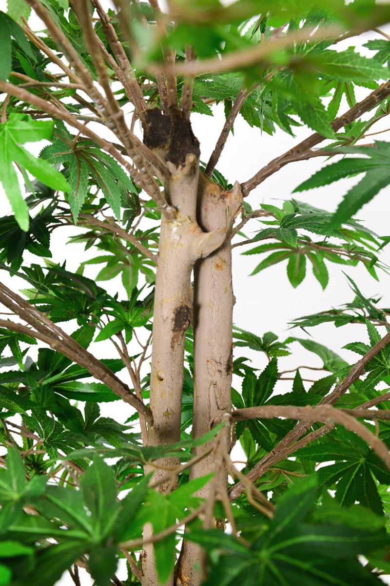 Maple G: Artificial Japanese Green Maple Tree with Thick Trunks