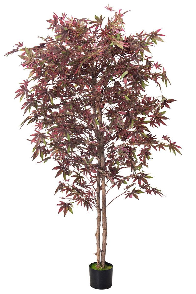 Maple P: Artificial Japanese Green & Purple Maple Tree with Thick Trunks
