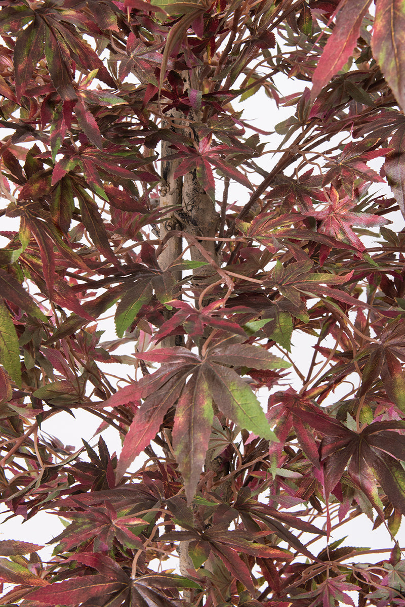 Maple P: Artificial Japanese Green & Purple Maple Tree with Thick Trunks