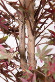 Maple P: Artificial Japanese Green & Purple Maple Tree with Thick Trunks