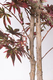 Maple P: Artificial Japanese Green & Purple Maple Tree with Thick Trunks