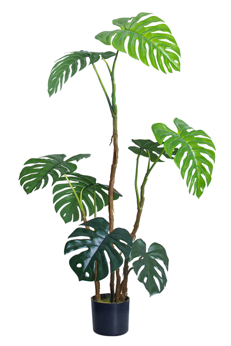 Monstera C: Artificial Monstera Plant with Realistic Stem