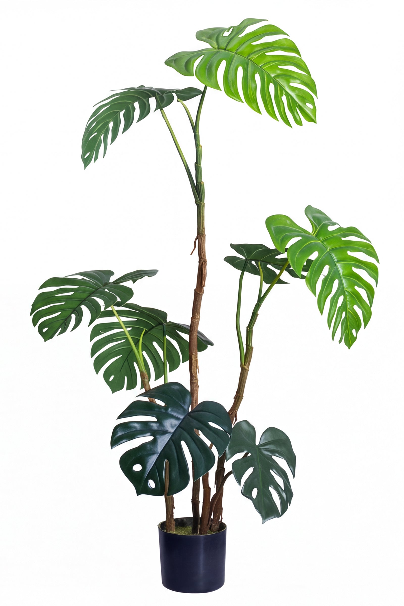 Monstera C: Artificial Monstera Plant with Realistic Stem