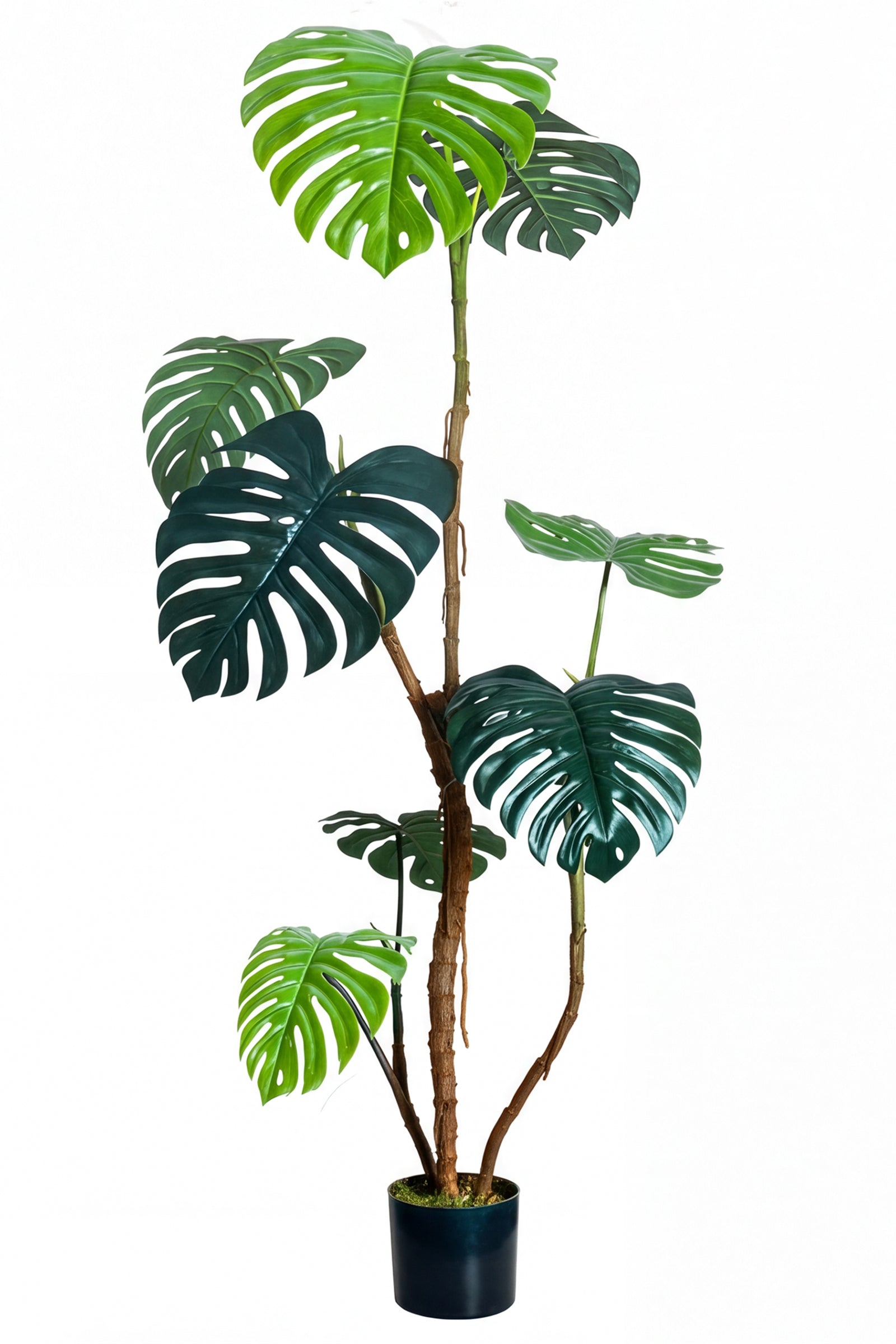 Monstera C: Artificial Monstera Plant with Realistic Stem