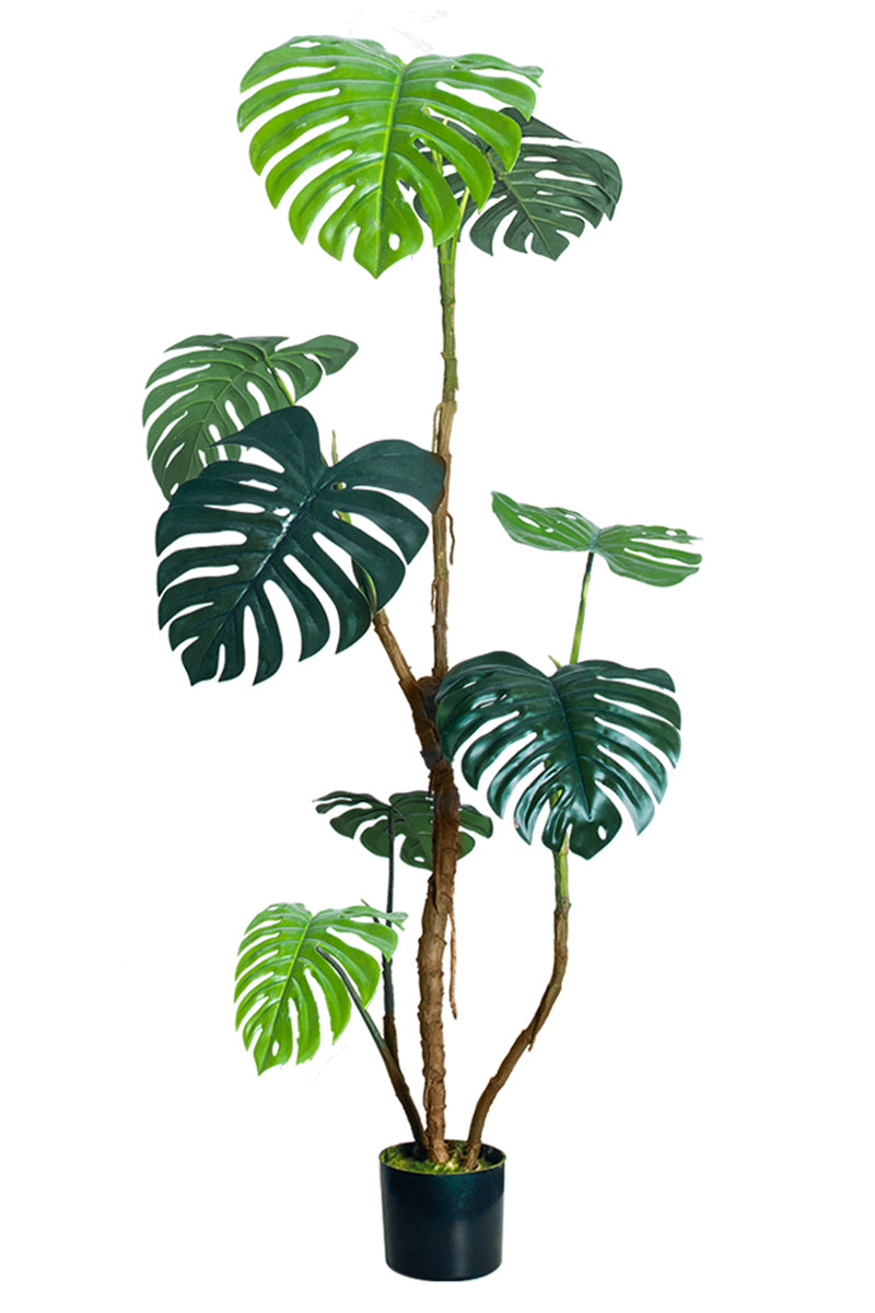 Monstera C: Artificial Monstera Plant with Realistic Stem