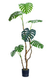 Monstera C: Artificial Monstera Plant with Realistic Stem