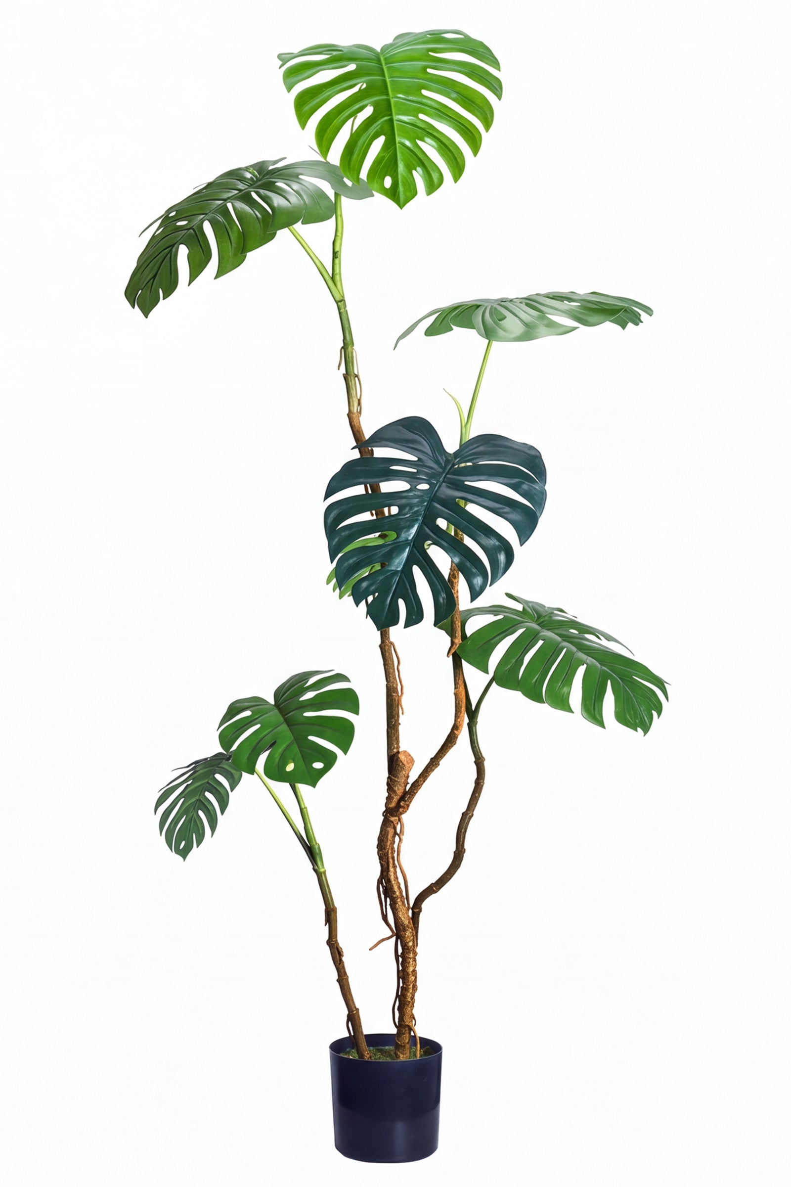 Monstera C: Artificial Monstera Plant with Realistic Stem