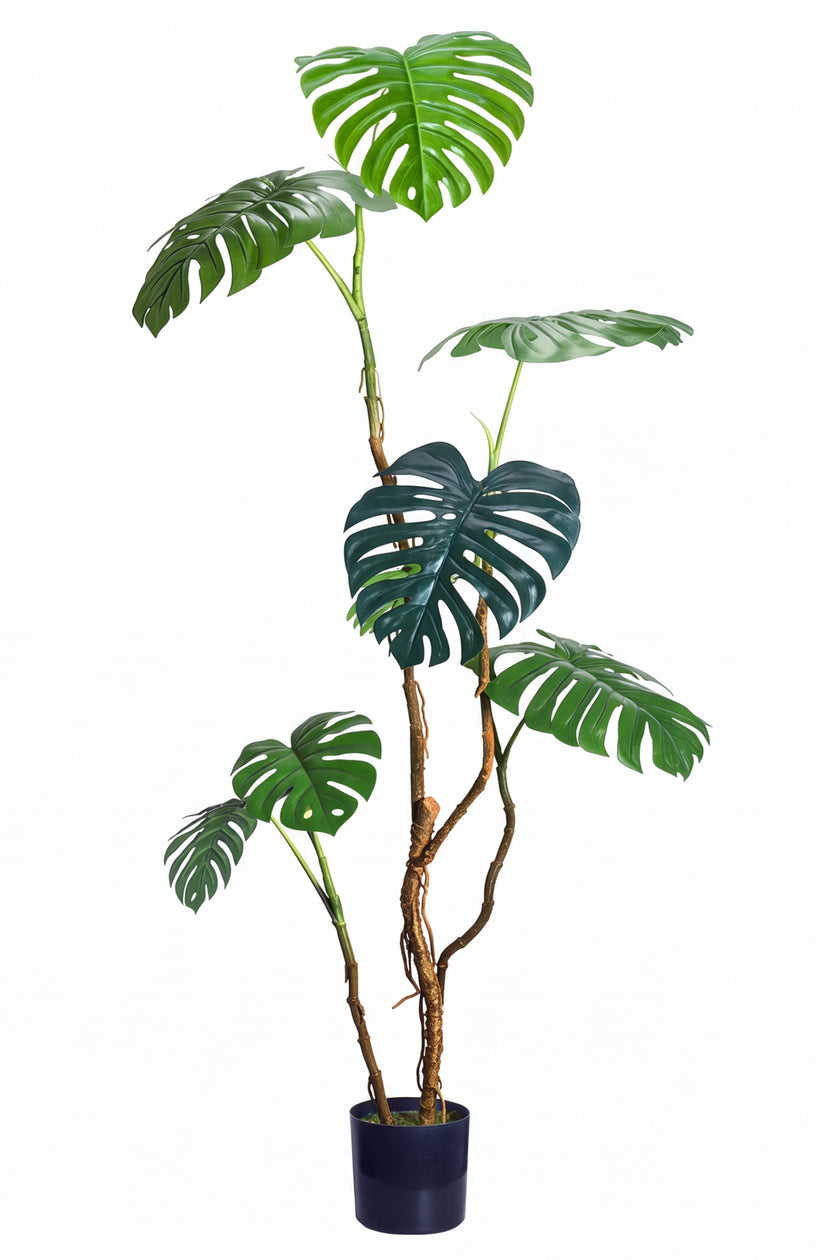Monstera C: Artificial Monstera Plant with Realistic Stem