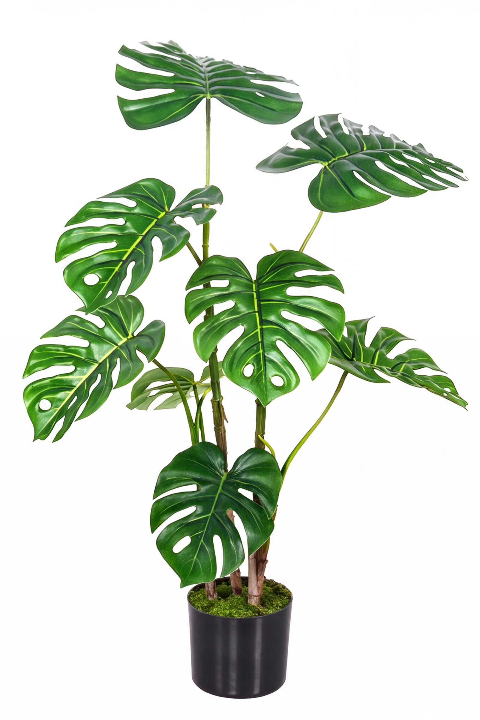 Monstera C: Artificial Monstera Plant with Realistic Stem