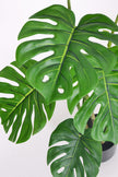 Monstera C: Artificial Monstera Plant with Realistic Stem
