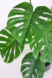 Monstera C: Artificial Monstera Plant with Realistic Stem