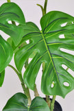 Monstera C: Artificial Monstera Plant with Realistic Stem