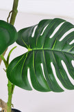 Monstera C: Artificial Monstera Plant with Realistic Stem