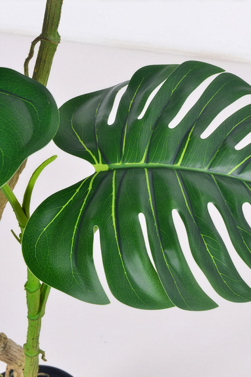 Monstera C: Artificial Monstera Plant with Realistic Stem