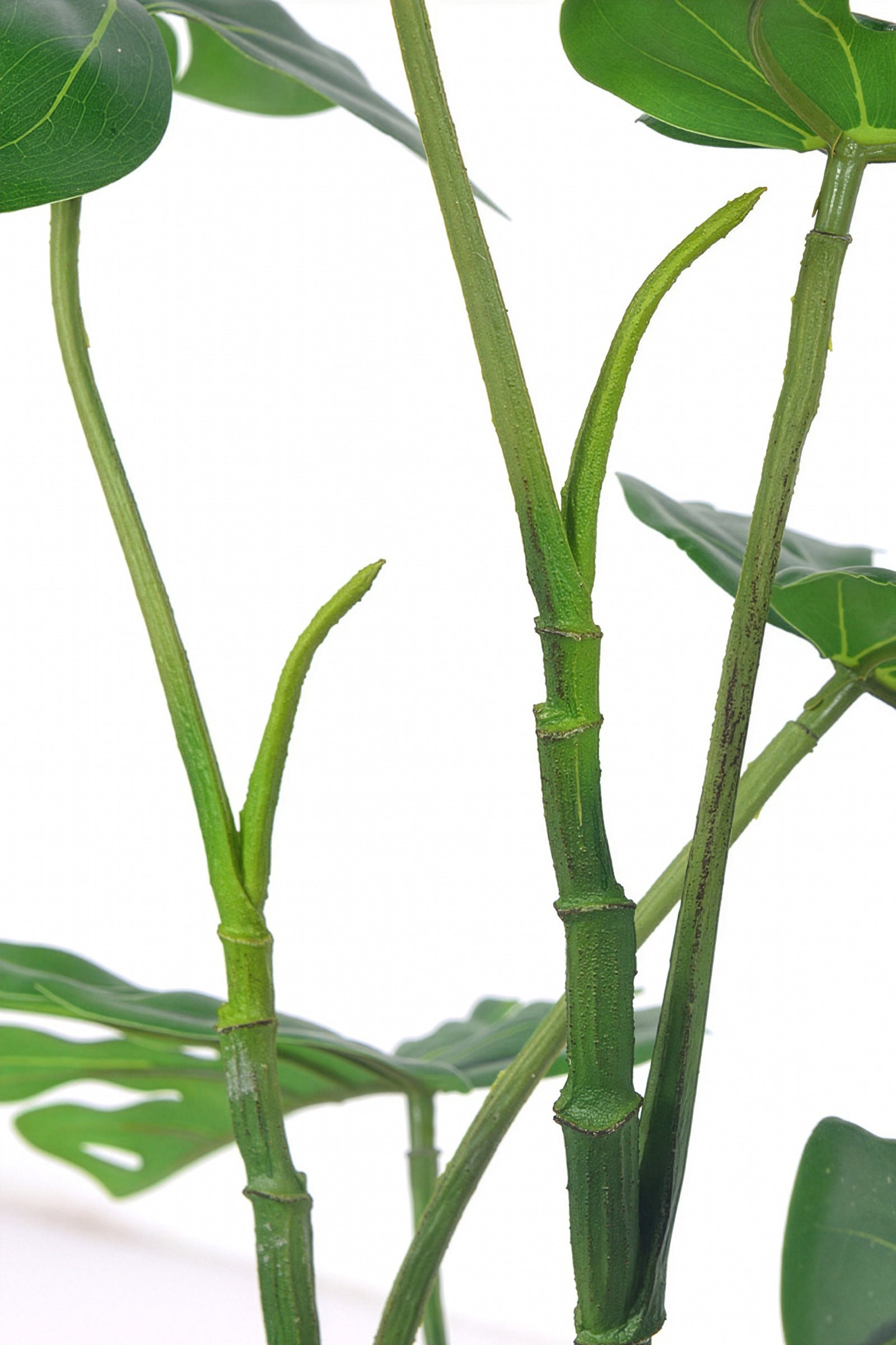 Monstera C: Artificial Monstera Plant with Realistic Stem
