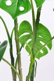 Monstera C: Artificial Monstera Plant with Realistic Stem