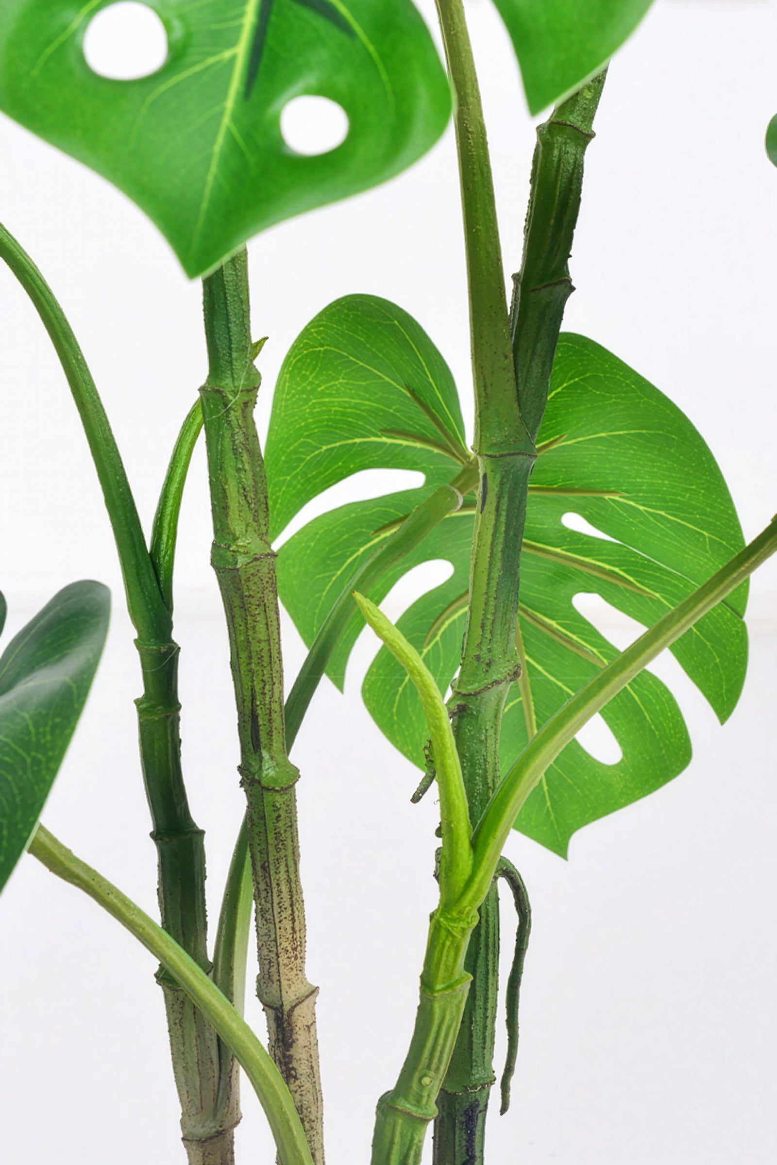 Monstera C: Artificial Monstera Plant with Realistic Stem