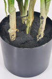 Monstera C: Artificial Monstera Plant with Realistic Stem