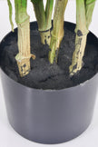 Monstera C: Artificial Monstera Plant with Realistic Stem