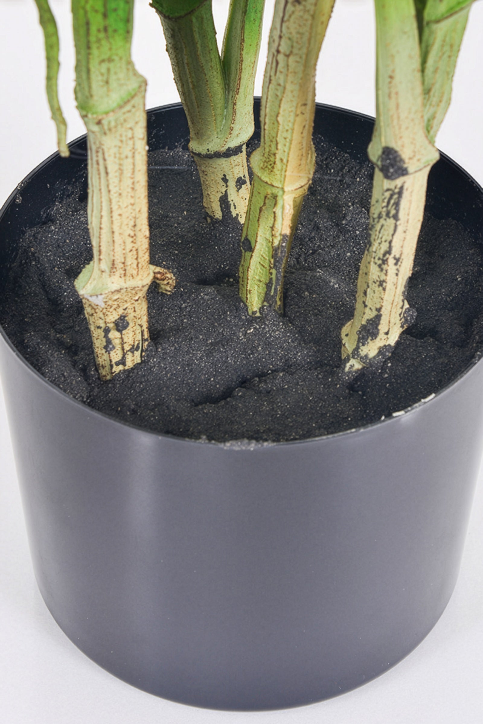 Monstera C: Artificial Monstera Plant with Realistic Stem