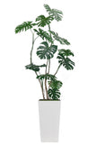 Monstera E: Artificial Monstera Deliciosa Plant with Natural Aerial‑Root Detailing