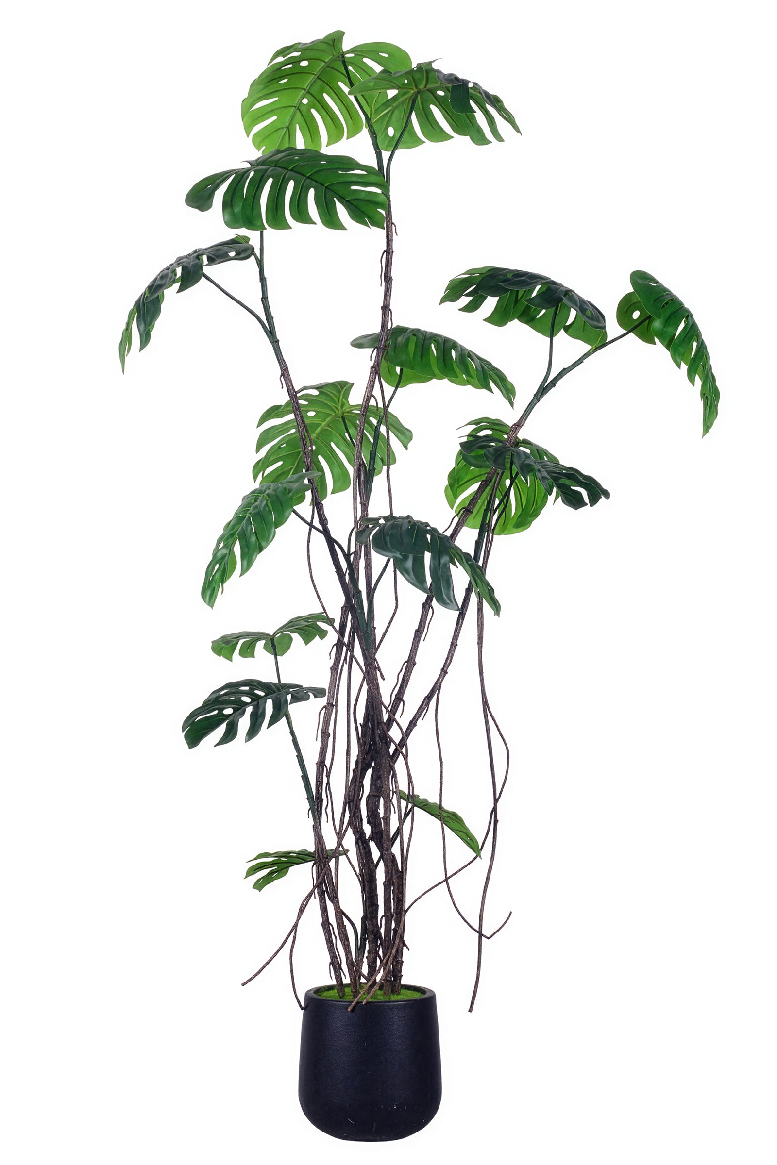 Monstera E: Artificial Monstera Deliciosa Plant with Natural Aerial‑Root Detailing