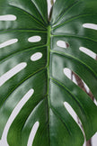 Monstera E: Artificial Monstera Deliciosa Plant with Natural Aerial‑Root Detailing