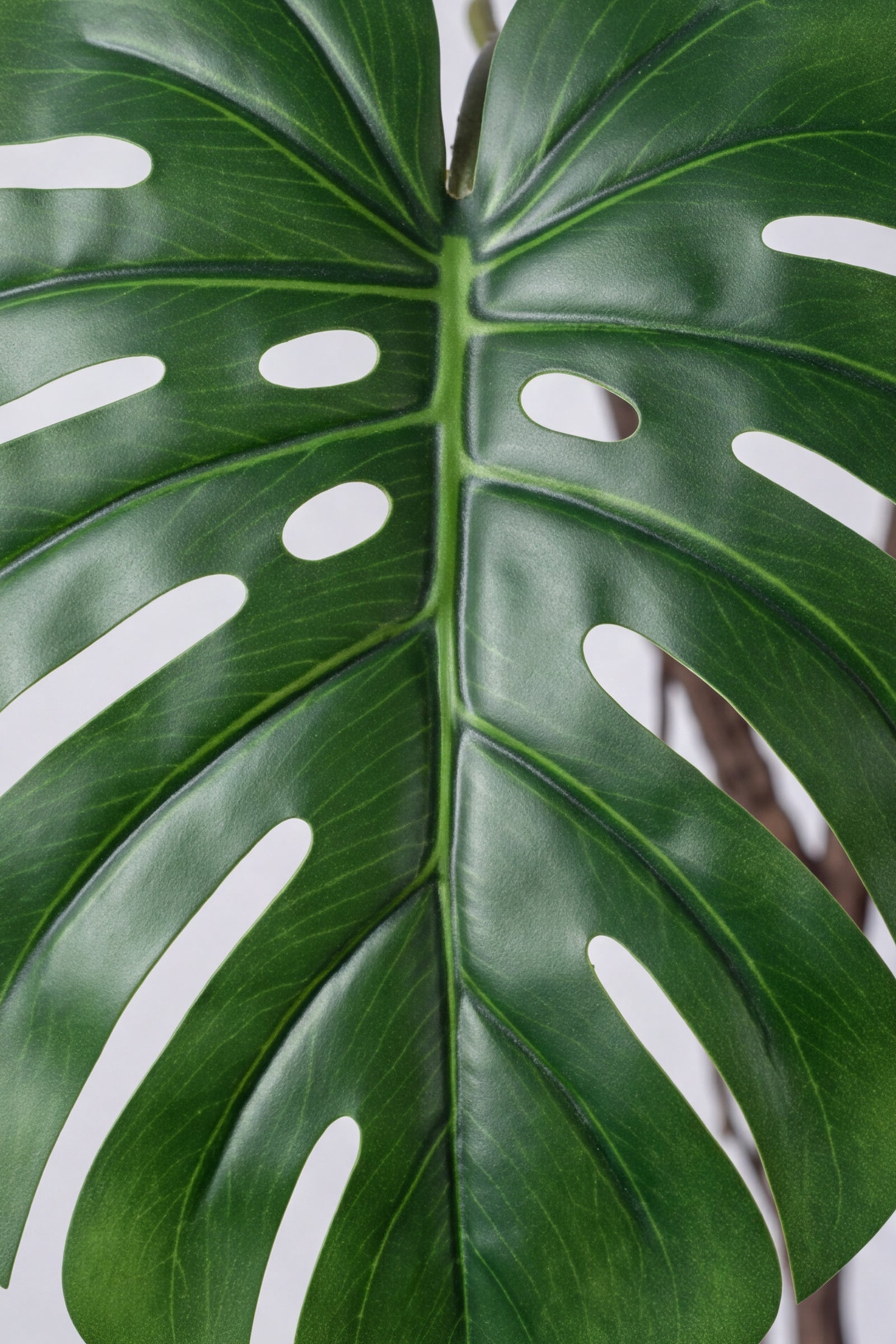 Monstera E: Artificial Monstera Deliciosa Plant with Natural Aerial‑Root Detailing