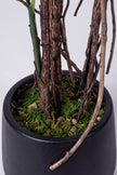 Monstera E: Artificial Monstera Deliciosa Plant with Natural Aerial‑Root Detailing