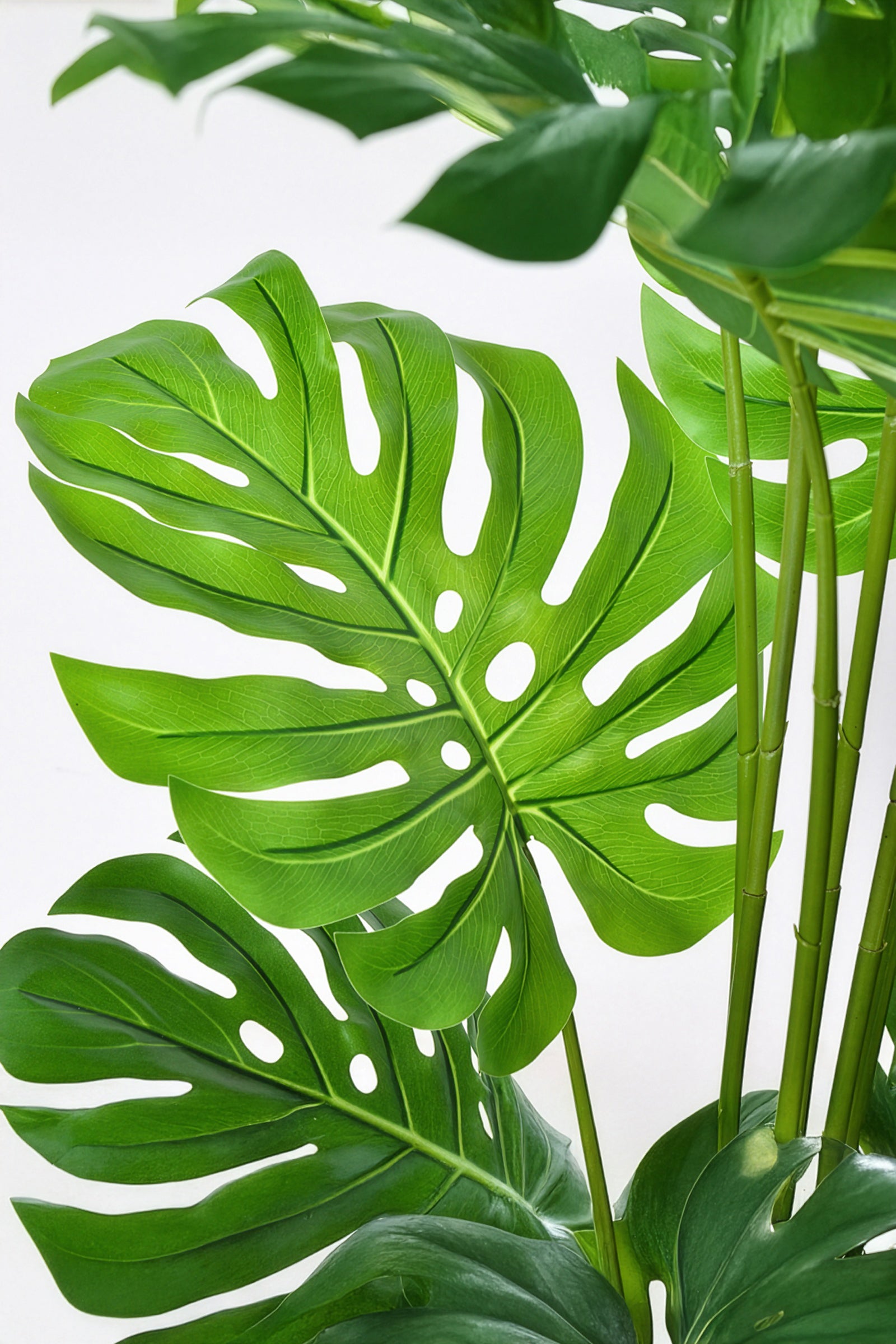 Monstera H: Artificial Monstera Deliciosa Plant with Real-Touch Leaves