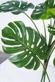 Monstera J: Artificial Monstera Deliciosa Plant with White Planter