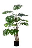 Monstera L: Artificial Monstera Deliciosa Plant with Mature Trunk and Aerial‑Roots
