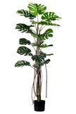 Monstera L: Artificial Monstera Deliciosa Plant with Mature Trunk and Aerial‑Roots