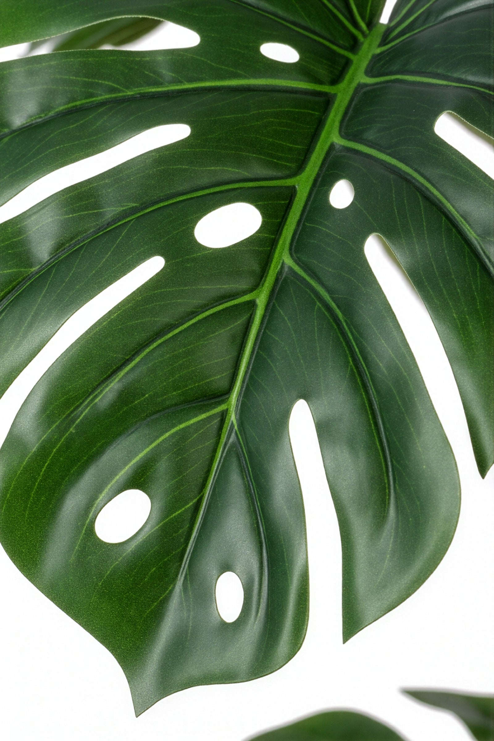 Monstera L: Artificial Monstera Deliciosa Plant with Mature Trunk and Aerial‑Roots