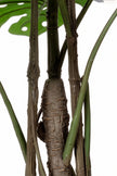 Monstera L: Artificial Monstera Deliciosa Plant with Mature Trunk and Aerial‑Roots