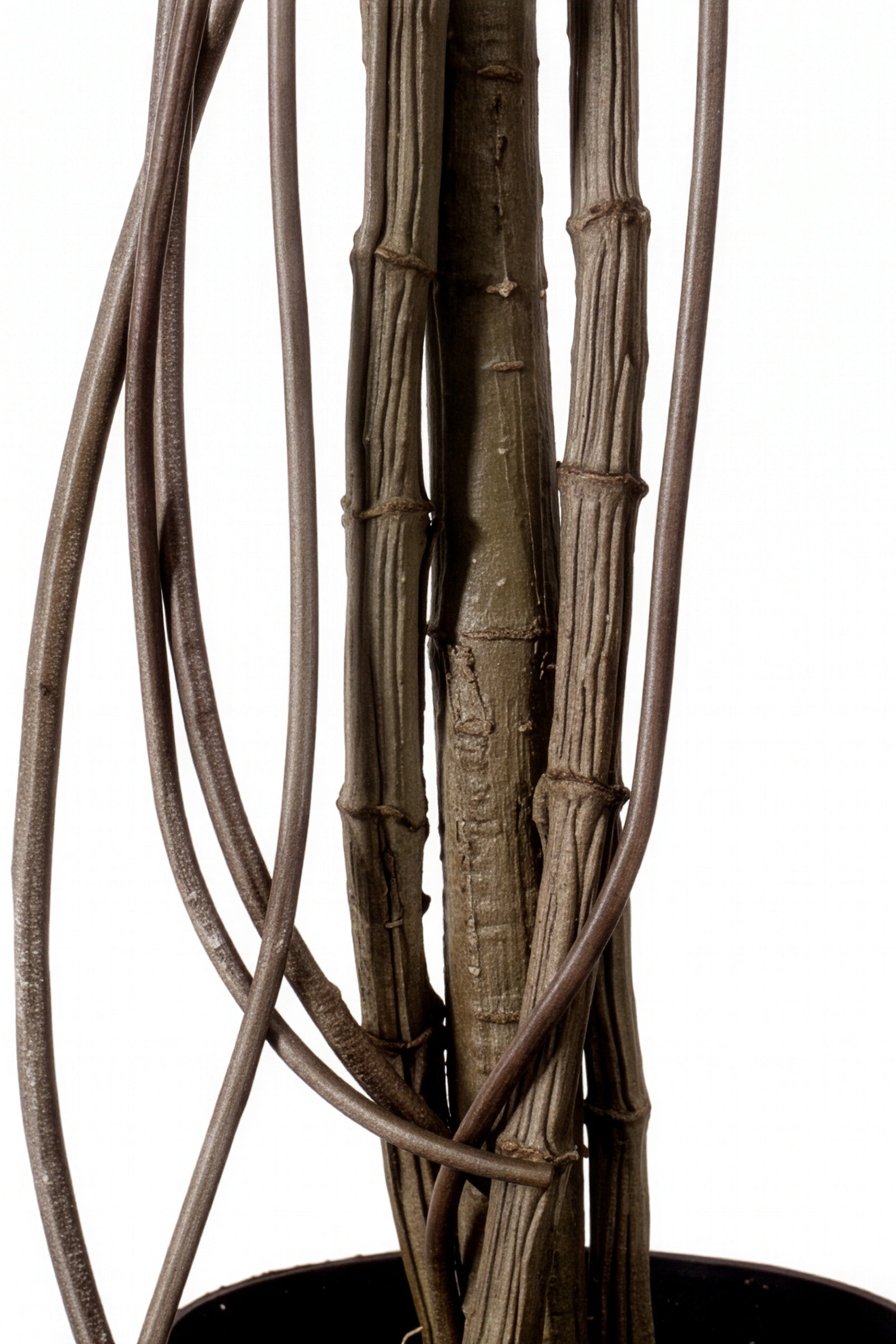 Monstera L: Artificial Monstera Deliciosa Plant with Mature Trunk and Aerial‑Roots