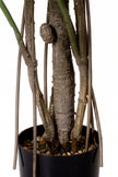 Monstera L: Artificial Monstera Deliciosa Plant with Mature Trunk and Aerial‑Roots