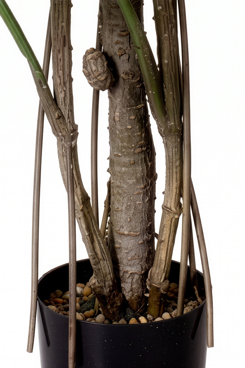 Monstera L: Artificial Monstera Deliciosa Plant with Mature Trunk and Aerial‑Roots