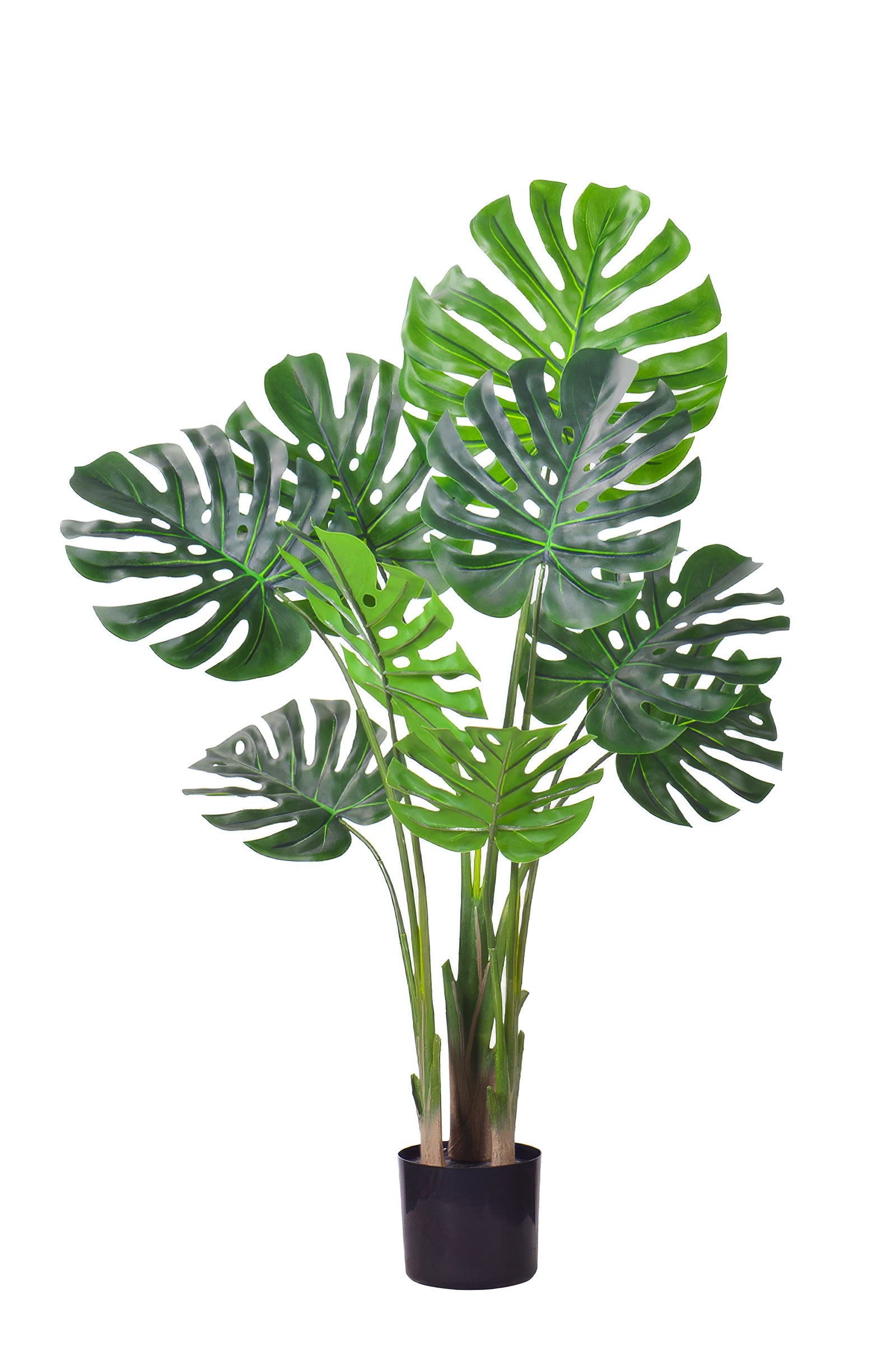 Monstera M: Artificial Monstera Deliciosa Plant with a Strong, Upright Green Trunk