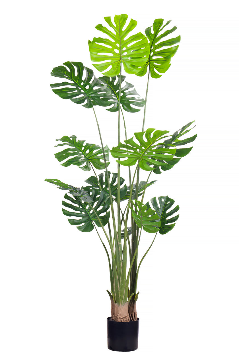 Monstera M: Artificial Monstera Deliciosa Plant with a Strong, Upright Green Trunk