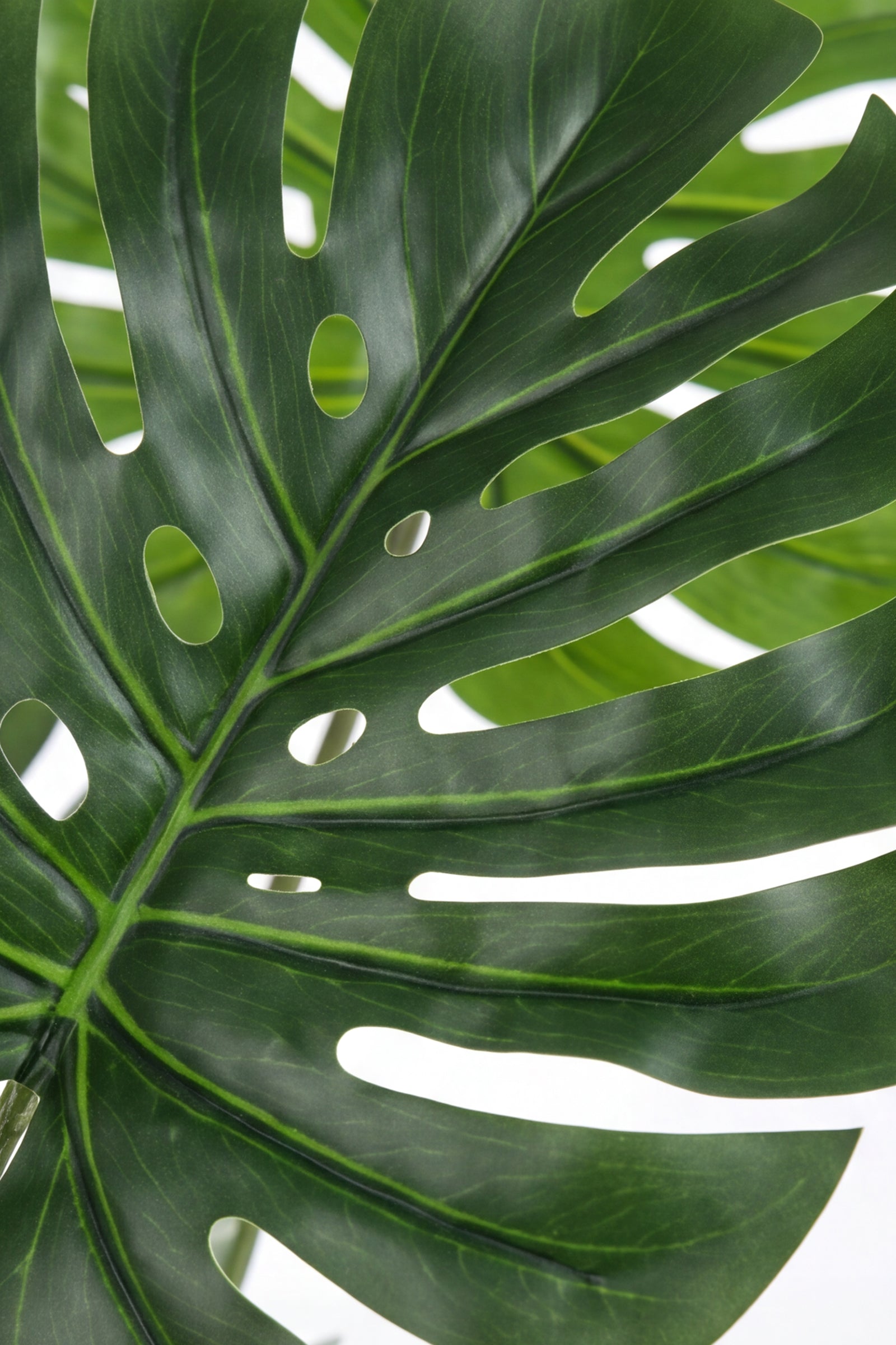 Monstera M: Artificial Monstera Deliciosa Plant with a Strong, Upright Green Trunk