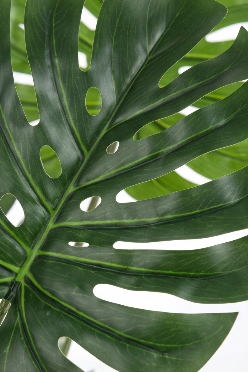 Monstera M: Artificial Monstera Deliciosa Plant with a Strong, Upright Green Trunk