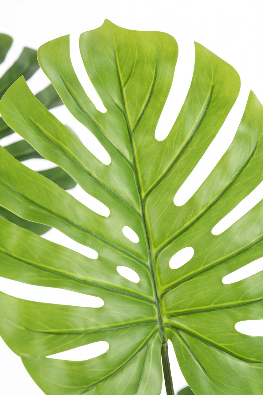 Monstera M: Artificial Monstera Deliciosa Plant with a Strong, Upright Green Trunk