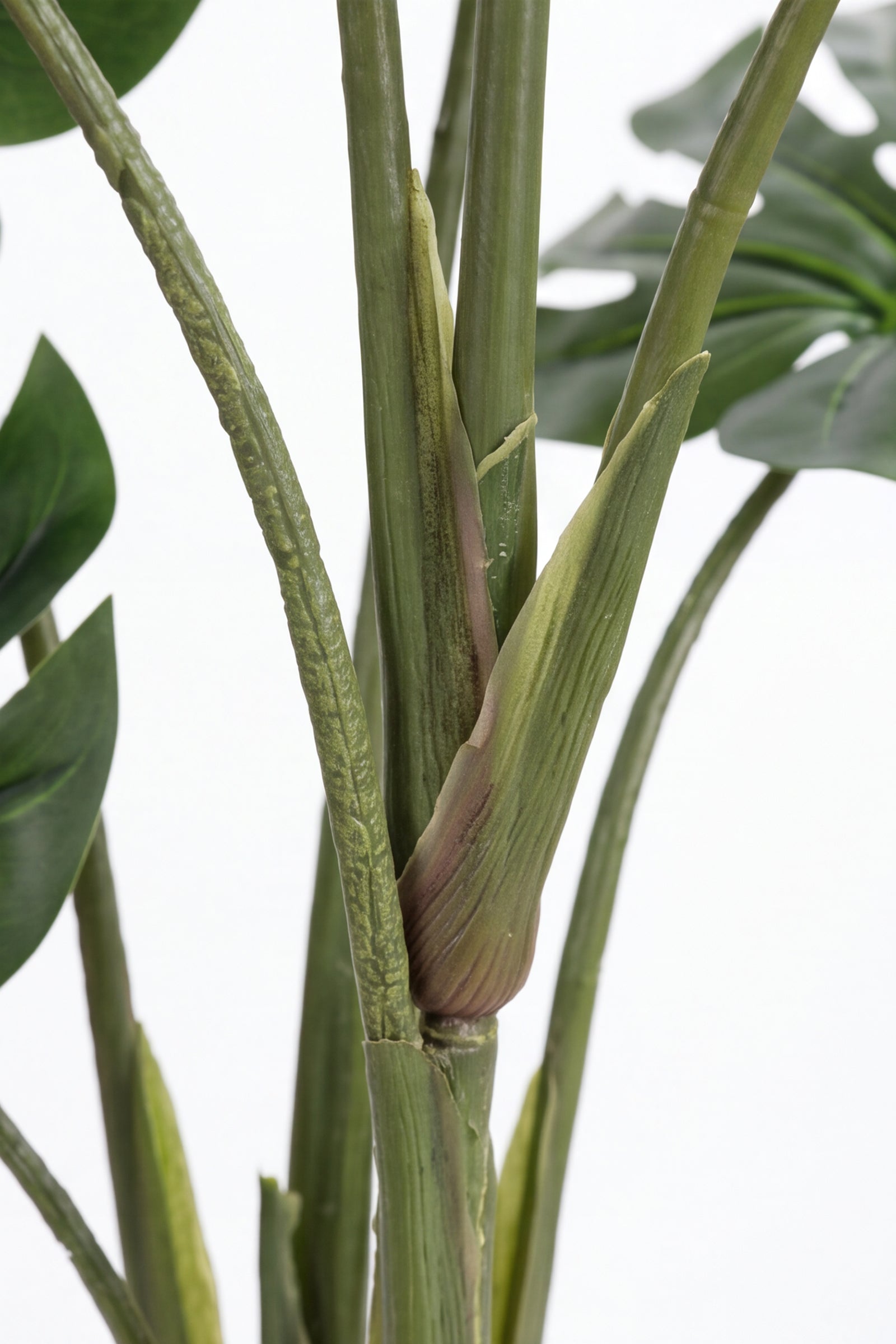 Monstera M: Artificial Monstera Deliciosa Plant with a Strong, Upright Green Trunk