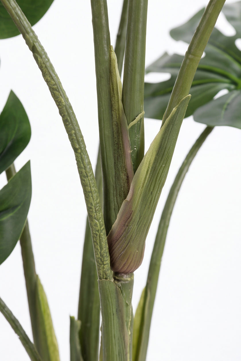 Monstera M: Artificial Monstera Deliciosa Plant with a Strong, Upright Green Trunk