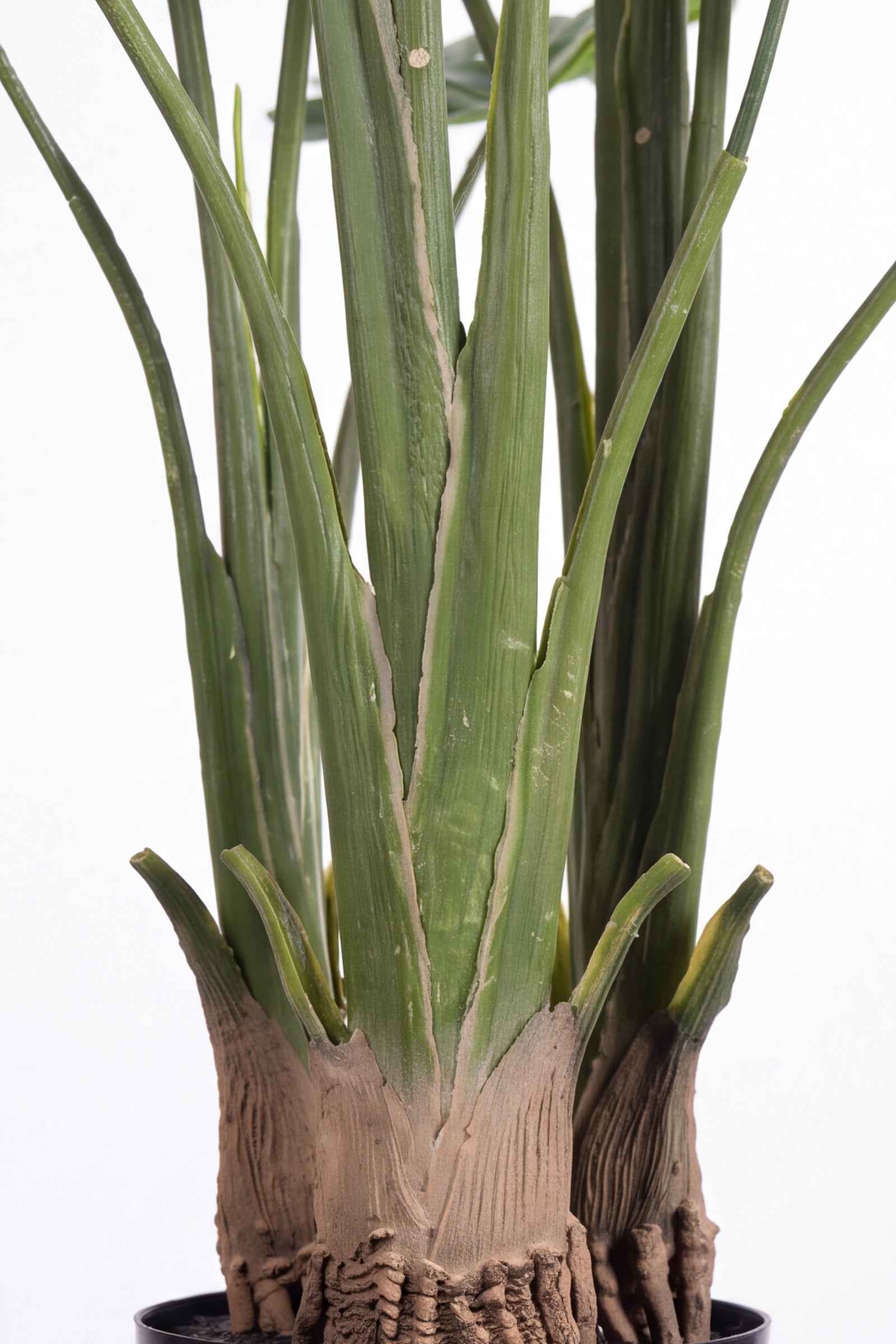 Monstera M: Artificial Monstera Deliciosa Plant with a Strong, Upright Green Trunk
