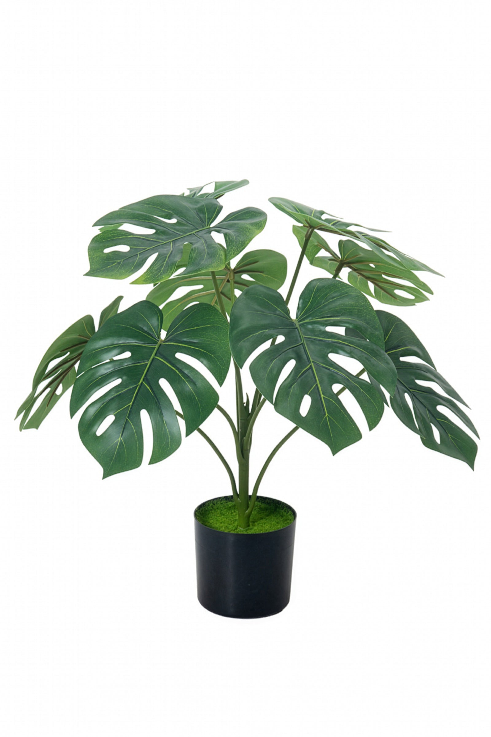 Monstera S: Desktop Artificial Monstera Plant with Lifelike Leaves